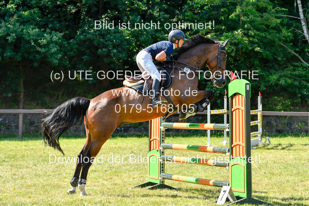 Reitturnier Harburger RV  17.7.2021 | 17072021 Stil M 1 Abt_085 