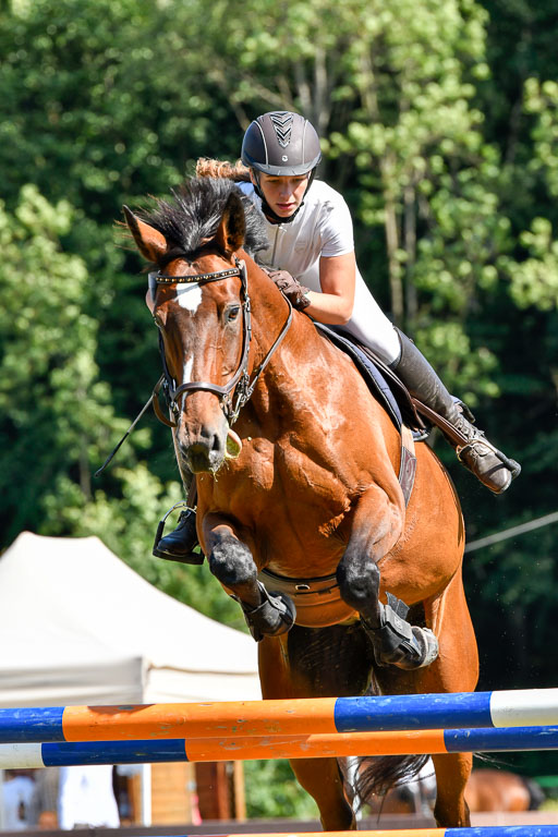 Reitturnier Harburger RV  17.7.2021 | 17072021 Stil M 1 Abt_020 