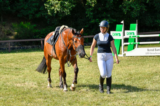 Reitturnier Harburger RV  17.7.2021 | 17072021 Stil M 1 Abt_083 