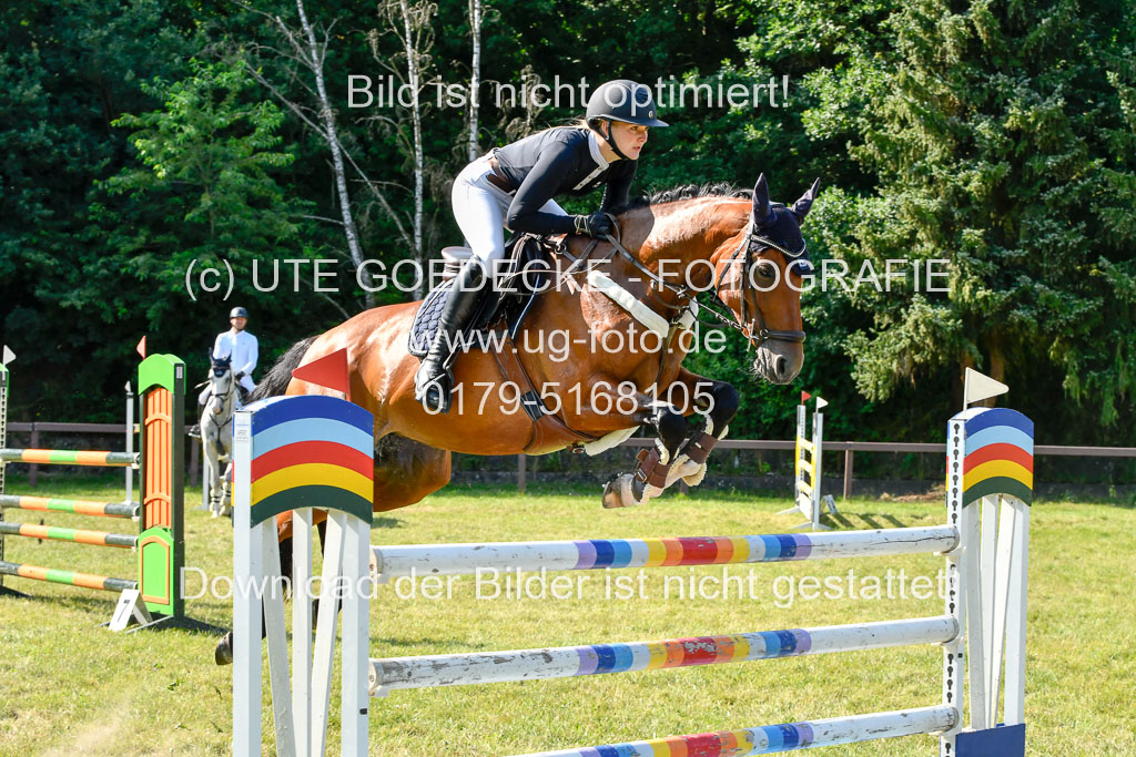 Reitturnier Harburger RV  17.7.2021 | 17072021 Stil M  2 Abt_007 