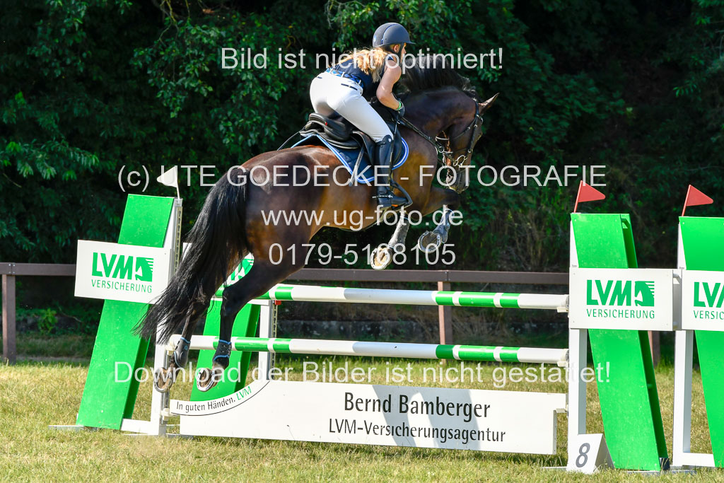 Reitturnier Harburger RV  17.7.2021 | 17072021 Stil M  2 Abt_021 