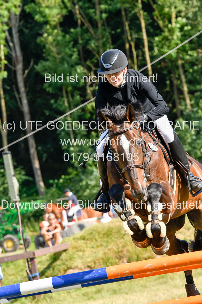 Reitturnier Harburger RV  17.7.2021 | 17072021 Stil M  2 Abt_029 