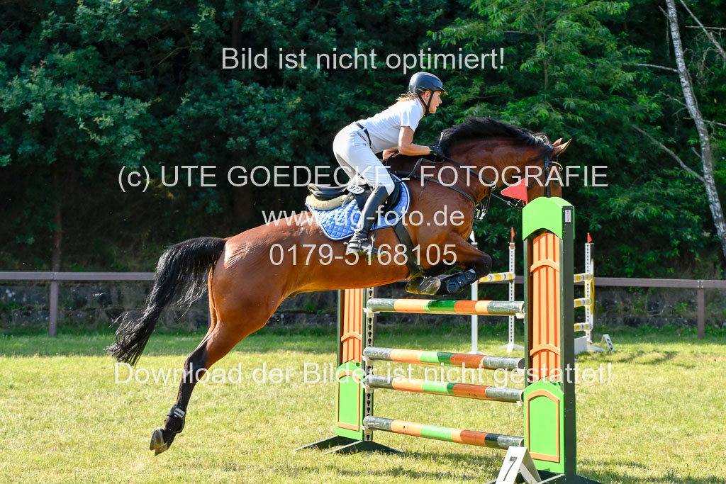 Reitturnier Harburger RV  17.7.2021 | 17072021 Stil M  2 Abt_039 