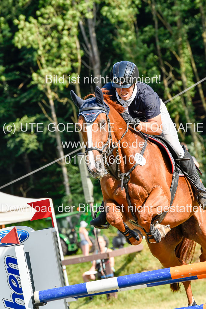 Reitturnier Harburger RV  17.7.2021 | 17072021 Stil M  2 Abt_046 