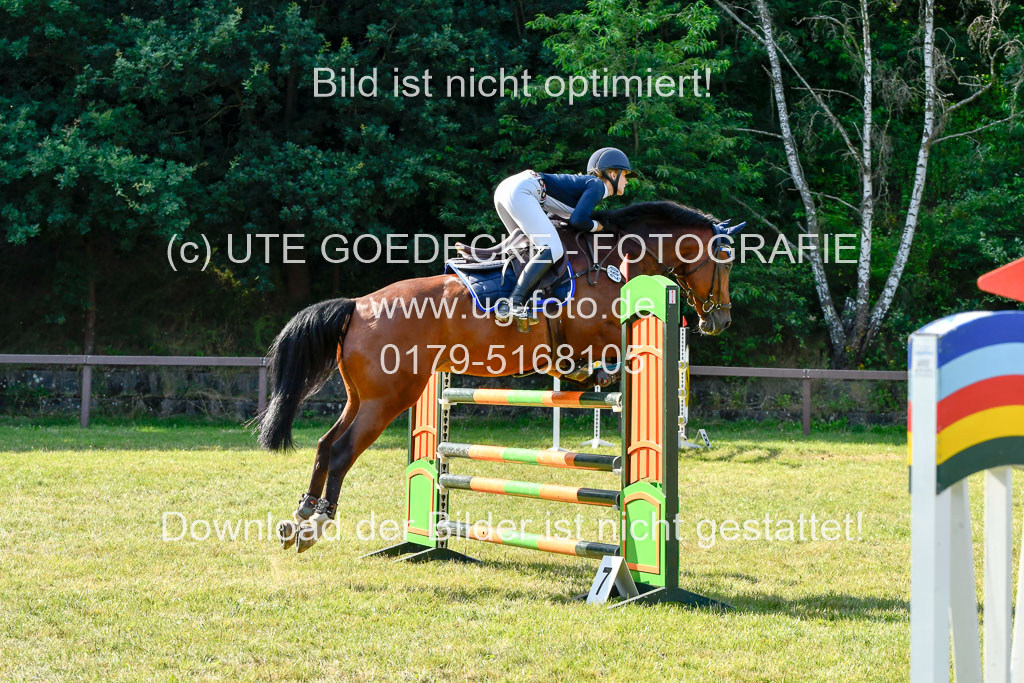 Reitturnier Harburger RV  17.7.2021 | 17072021 Stil M  2 Abt_050 