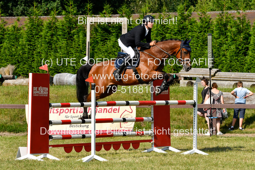 Reitturnier Harburger RV  17.7.2021 | 17072021 Stil M  2 Abt_059 