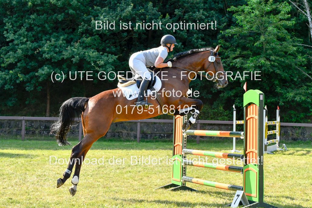 Reitturnier Harburger RV  17.7.2021 | 17072021 Stil M  2 Abt_062 