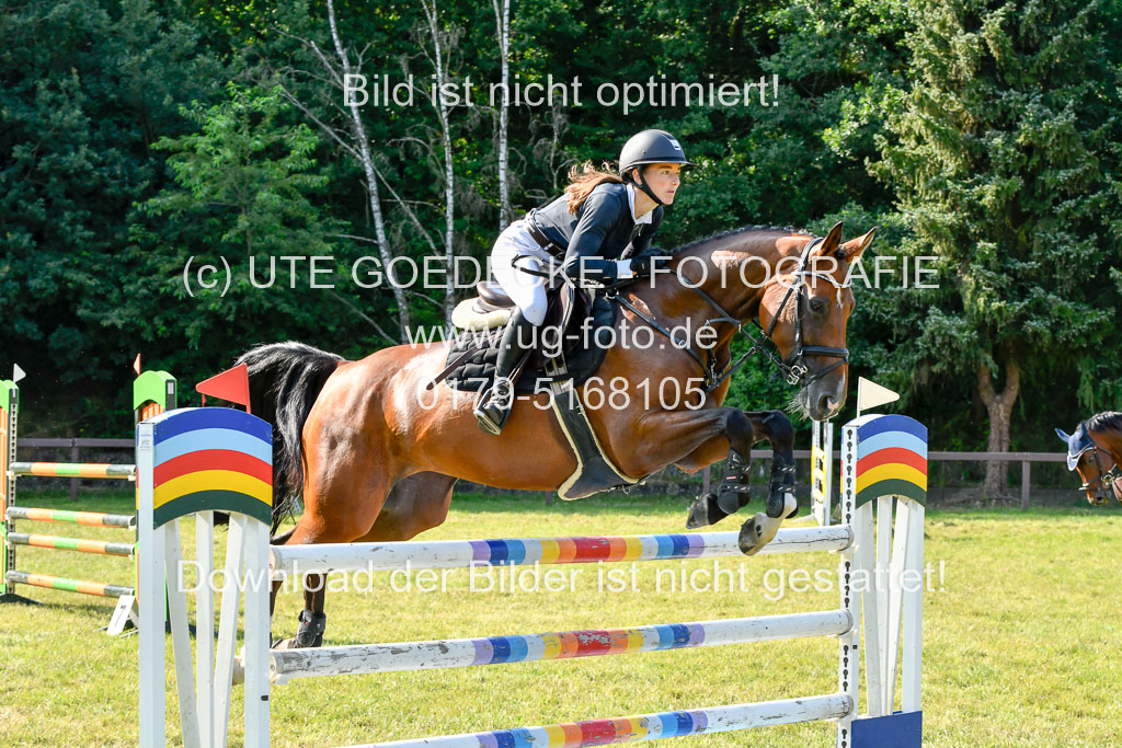 Reitturnier Harburger RV  17.7.2021 | 17072021 Stil M  2 Abt_077 
