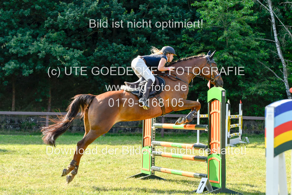 Reitturnier Harburger RV  17.7.2021 | 17072021 Stil M  2 Abt_090 