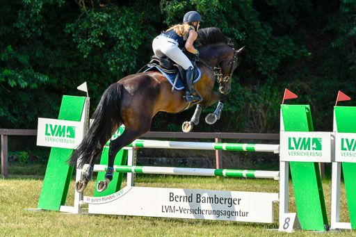 Reitturnier Harburger RV  17.7.2021 | 17072021 Stil M  2 Abt_021 