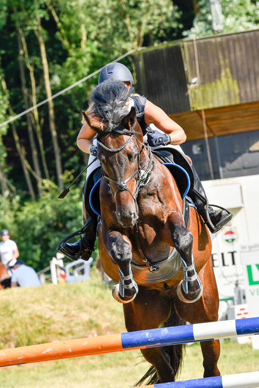 Reitturnier Harburger RV  17.7.2021 | 17072021 Stil M  2 Abt_023 