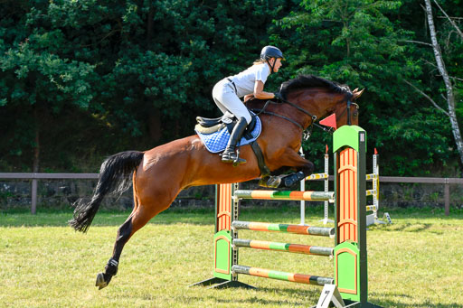 Reitturnier Harburger RV  17.7.2021 | 17072021 Stil M  2 Abt_039 