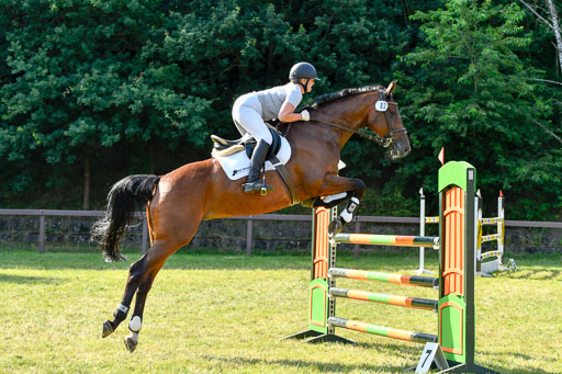 Reitturnier Harburger RV  17.7.2021 | 17072021 Stil M  2 Abt_062 