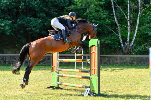 Reitturnier Harburger RV  17.7.2021 | 17072021 Stil M  2 Abt_082 