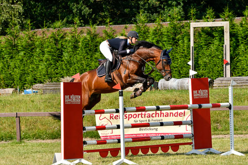 Reitturnier Harburger RV  17.7.2021 | 17072021 Stil M  2 Abt_084 