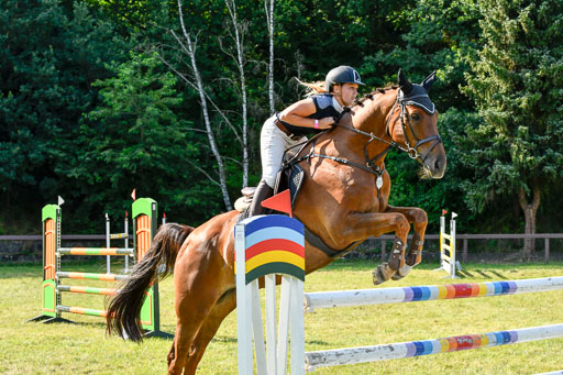 Reitturnier Harburger RV  17.7.2021 | 17072021 Stil M  2 Abt_088 