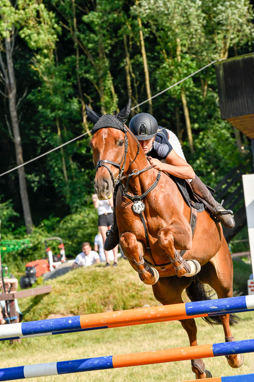 Reitturnier Harburger RV  17.7.2021 | 17072021 Stil M  2 Abt_095 