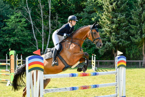 Reitturnier Harburger RV  17.7.2021 | 17072021 Stil M  2 Abt_097 