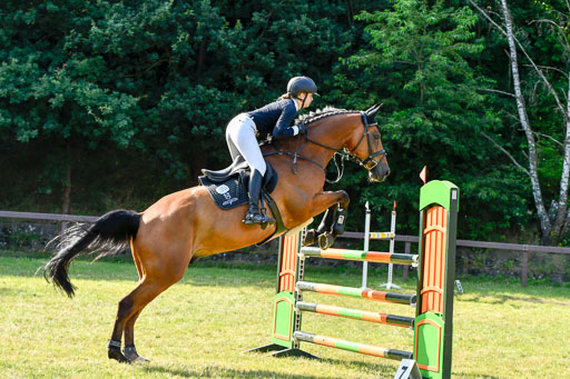 Reitturnier Harburger RV  17.7.2021 | 17072021 Stil M  2 Abt_099 