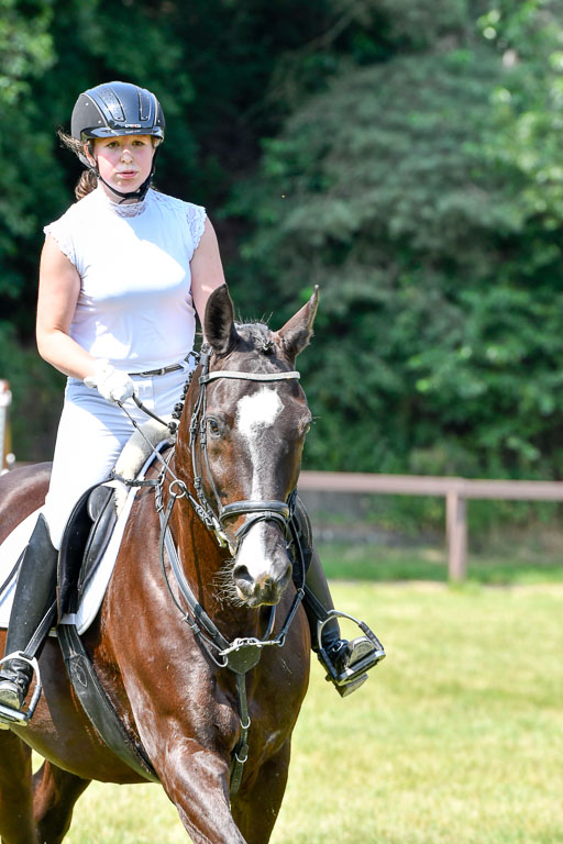 Reitturnier Harburger RV  16.7.2021 | 16072021 Stilspringpfg E_065-2 