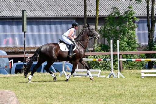 Reitturnier Harburger RV  16.7.2021 | 16072021 Stilspringpfg E_067-2 