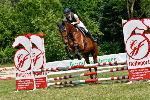 Reitturnier Harburger RV  16.7.2021 | 16072021 Stilspringpfg E_087-2 
