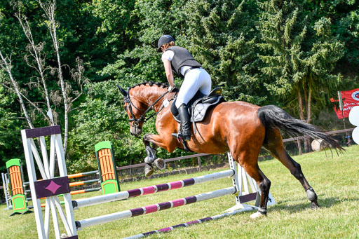 Reitturnier Harburger RV  16.7.2021 | 16072021 Stilspringpfg E_089-2 