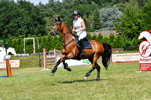 Reitturnier Harburger RV  16.7.2021 | 16072021 Stilspringpfg E_097-2 