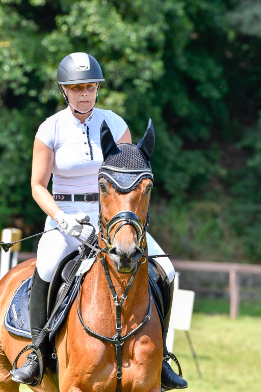 Reitturnier Harburger RV  16.7.2021 | 16072021 Stilspringpfg E_103-2 