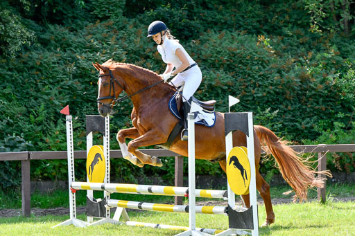 Reitturnier Harburger RV  16.7.2021 | 16072021 Stilspringpfg E_105-2 