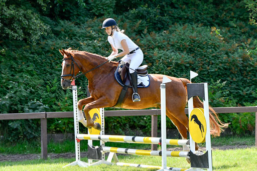 Reitturnier Harburger RV  16.7.2021 | 16072021 Stilspringpfg E_106-2 