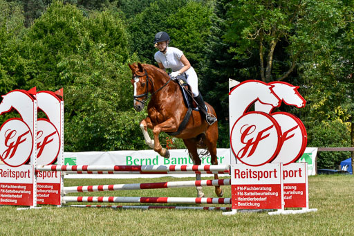 Reitturnier Harburger RV  16.7.2021 | 16072021 Stilspringpfg E_107-2 