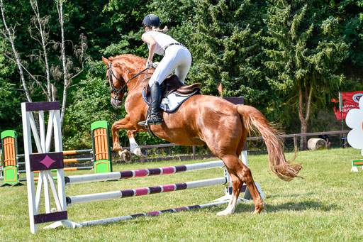 Reitturnier Harburger RV  16.7.2021 | 16072021 Stilspringpfg E_109-2 