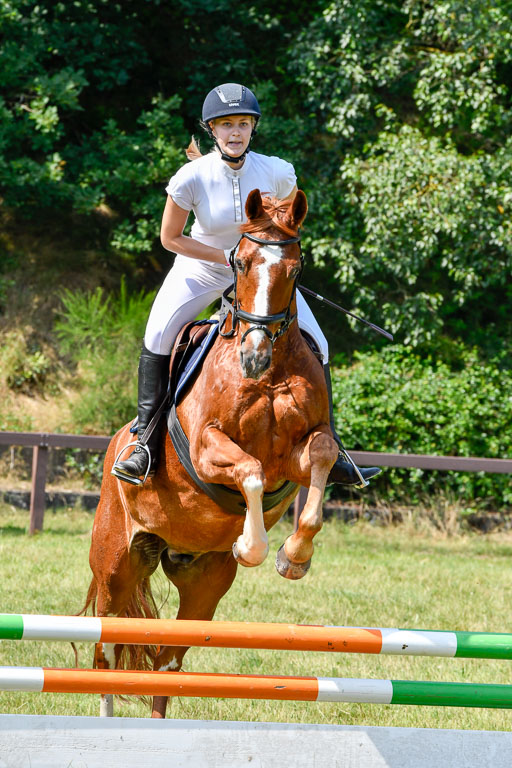 Reitturnier Harburger RV  16.7.2021 | 16072021 Stilspringpfg E_110-2 