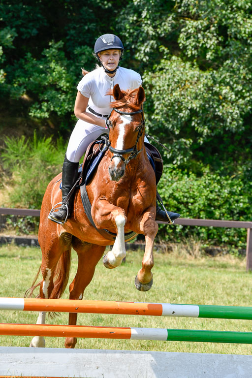 Reitturnier Harburger RV  16.7.2021 | 16072021 Stilspringpfg E_111-2 
