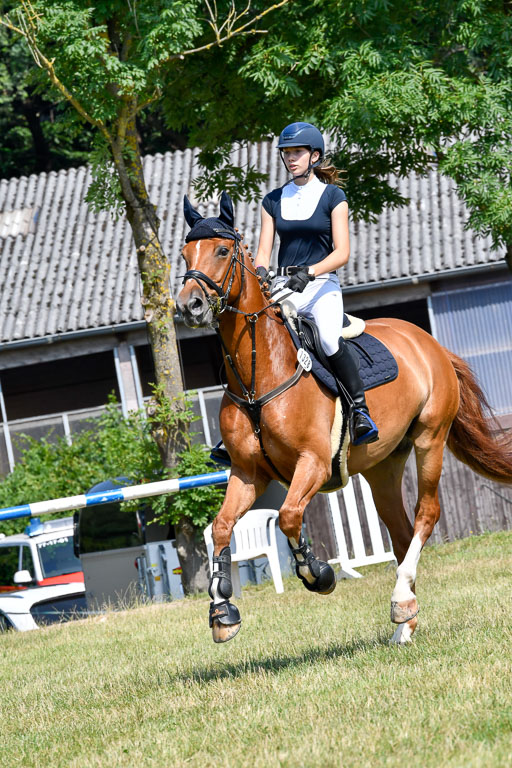 Reitturnier Harburger RV  16.7.2021 | 16072021 Stilspringpfg E_119-2 