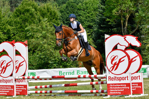 Reitturnier Harburger RV  16.7.2021 | 16072021 Stilspringpfg E_120-2 