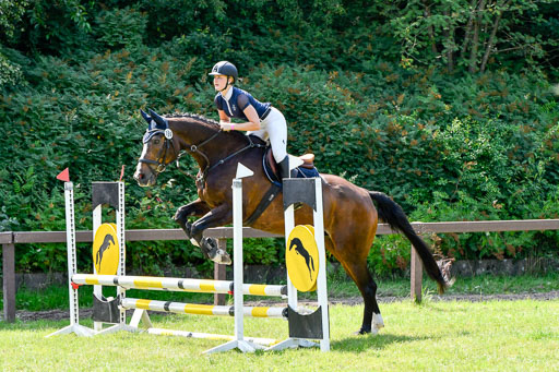 Reitturnier Harburger RV  16.7.2021 | 16072021 Stilspringpfg E_130-2 