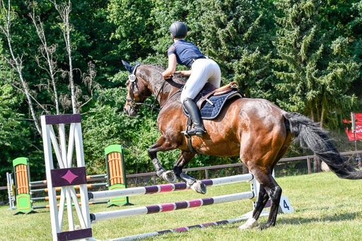 Reitturnier Harburger RV  16.7.2021 | 16072021 Stilspringpfg E_133-2 