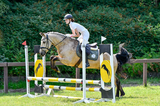 Reitturnier Harburger RV  16.7.2021 | 16072021 Stilspringpfg E_141-2 