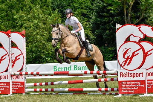 Reitturnier Harburger RV  16.7.2021 | 16072021 Stilspringpfg E_142-2 