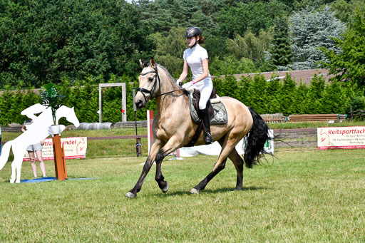 Reitturnier Harburger RV  16.7.2021 | 16072021 Stilspringpfg E_144-2 
