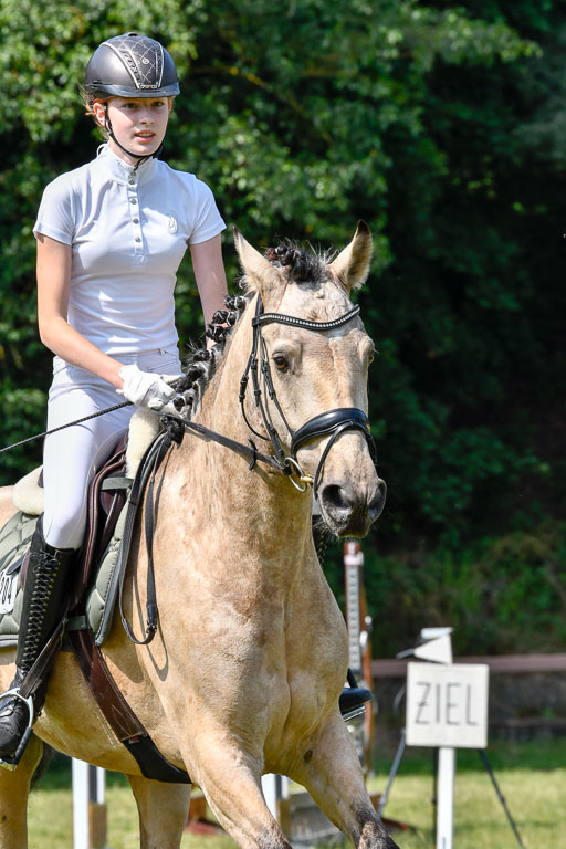 Reitturnier Harburger RV  16.7.2021 | 16072021 Stilspringpfg E_146-2 