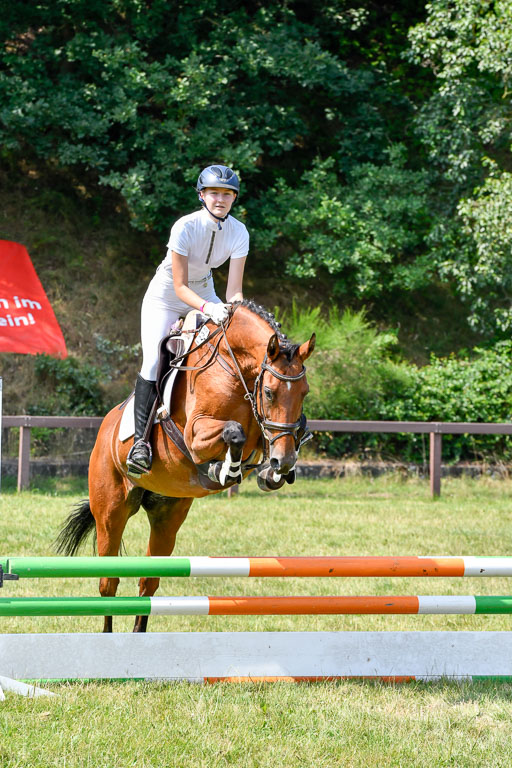Reitturnier Harburger RV  16.7.2021 | 16072021 Stilspringpfg E_152-2 
