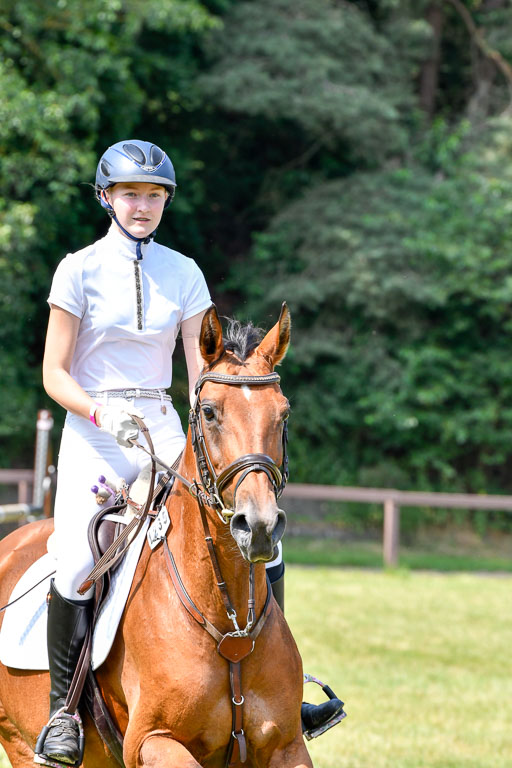 Reitturnier Harburger RV  16.7.2021 | 16072021 Stilspringpfg E_154-2 