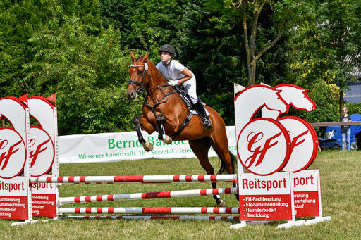 Reitturnier Harburger RV  16.7.2021 | 16072021 Stilspringpfg E_157-2 