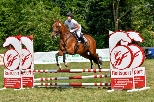 Reitturnier Harburger RV  16.7.2021 | 16072021 Stilspringpfg E_158-2 