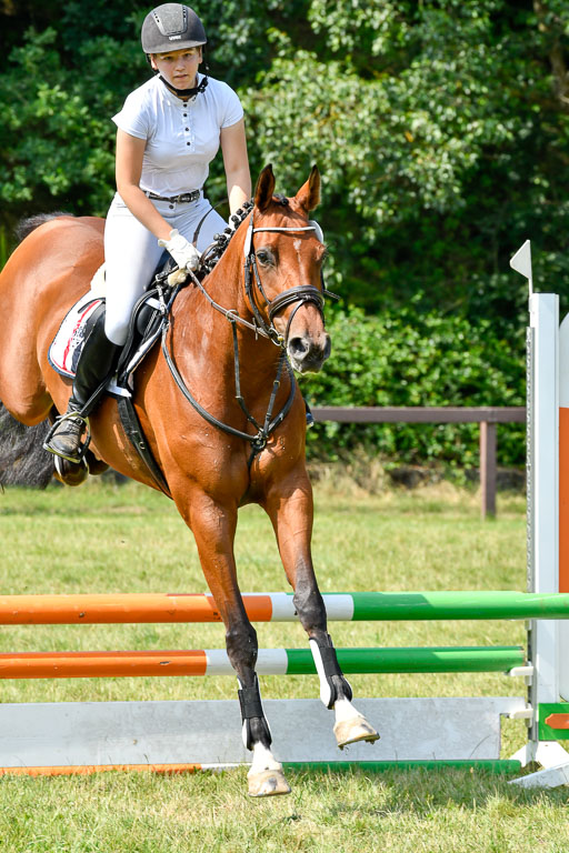 Reitturnier Harburger RV  16.7.2021 | 16072021 Stilspringpfg E_161-2 