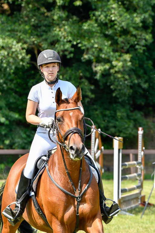 Reitturnier Harburger RV  16.7.2021 | 16072021 Stilspringpfg E_163-2 