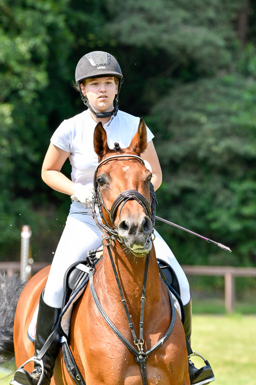 Reitturnier Harburger RV  16.7.2021 | 16072021 Stilspringpfg E_164-2 